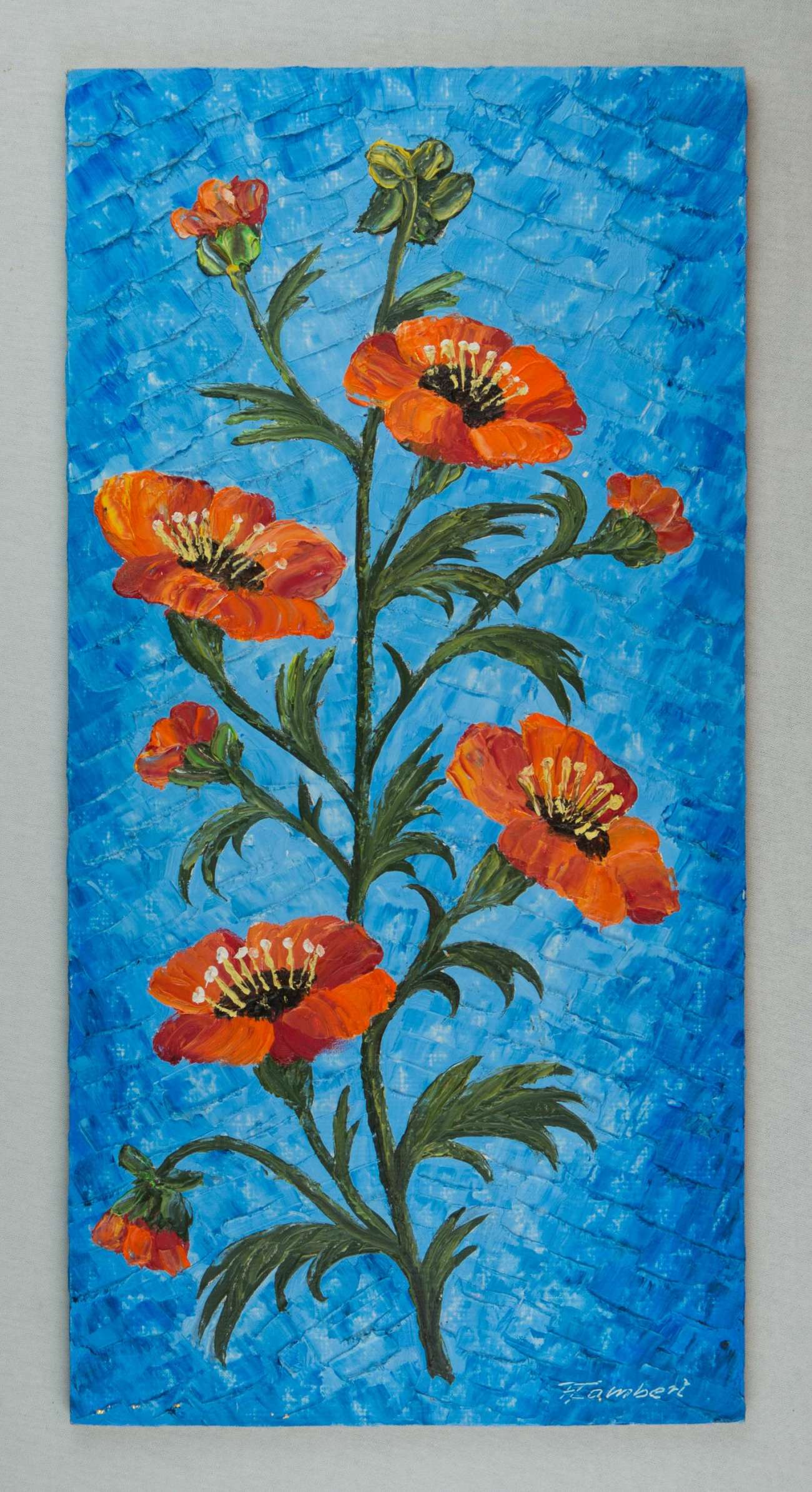 Blume mit orangen Blüten und blauem Hintergrund