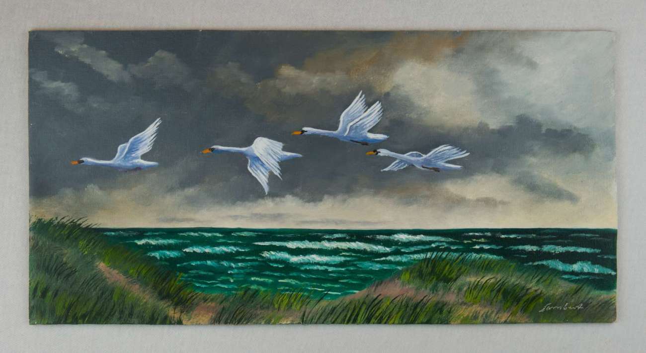 Vier Zugvögel fliegen an der Küste über dem Meer