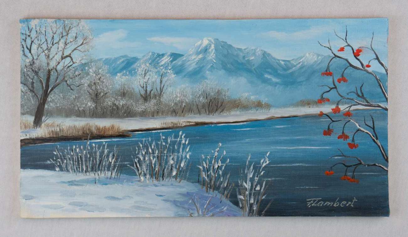Seenlandschaft im Winter mit Bergen im Hintergrund